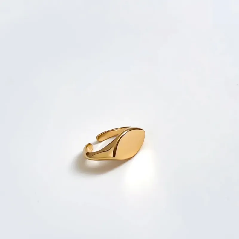 Anel Solene banhado a ouro 18K Ajustável