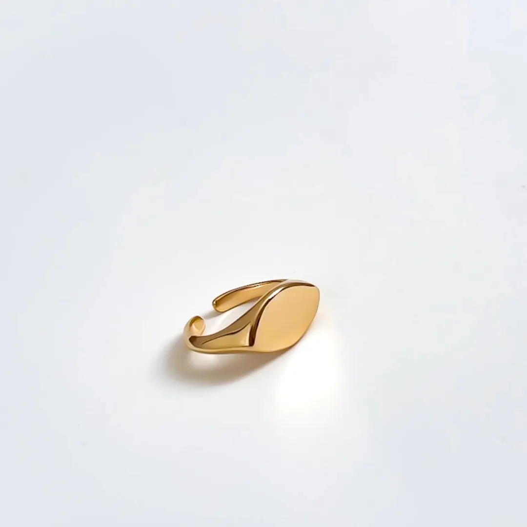 Anel Solene banhado a ouro 18K Ajustável