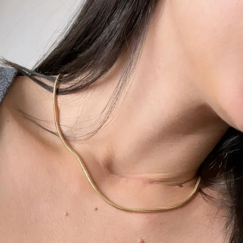 Colar Snake malha redonda banhado a ouro 18k